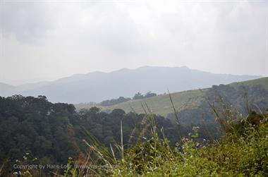 Periyar N.P., Thekkadi_DSC7421_H600